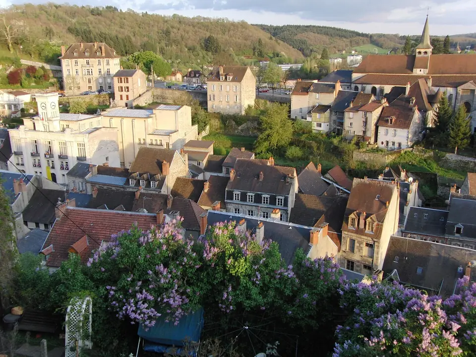 Vue plongeante sur Aubusson et ses maisons serrées dans la vallée de la Creuse, avec des lilas fleuris au premier plan.
